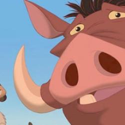 Timon and Pumbaa