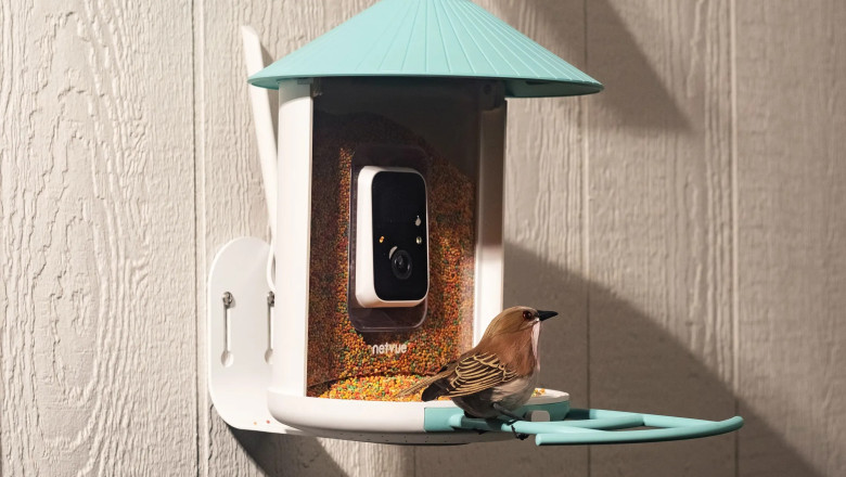 Birdfy’s solar-powered smart feeder is down to one of its best prices